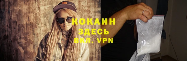 гашик Бородино
