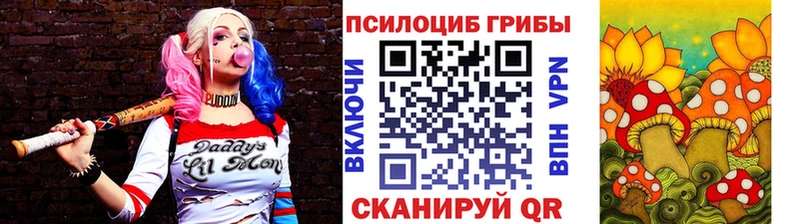Псилоцибиновые грибы Magic Shrooms  Городец 